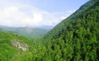 Ու ի՞նչ, հիմա պետք է ամբողջ մարզը մի մեծ հանքավայր դառնա՞․ Դուլգարյան