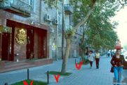 Քրիստինա Վարդանյան. Հետո եկան «սուպերմասնագետները»