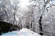 Armenia's Shirak covered with thick layer of snow
