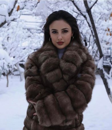 Պապիկյանի կնոջ ֆոտոսեսիան