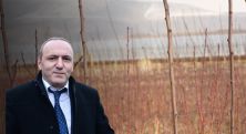 Քաղաքապետարանը շալախ տեսակի մեկ ծիրանենին գնել է 19 500 դրամով. «Հետք»