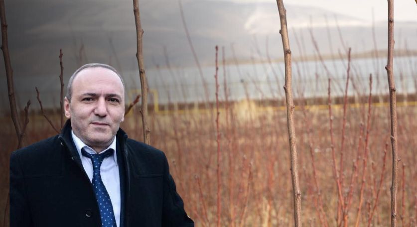 Քաղաքապետարանը շալախ տեսակի մեկ ծիրանենին գնել է 19 500 դրամով. «Հետք»