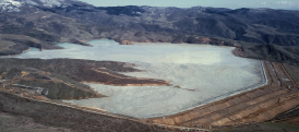 Environmentalist deplores ZCMC's failure to create protective forest belts