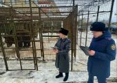 В Вязьме медведь убил упавшего на его клетку рабочего, чистившего снег на крыше кафе