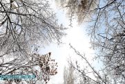 Температура воздуха в Армении повысится на 10-12 градусов