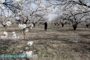 Суренян: С 7 февраля постепенно движемся к весне