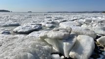 В Приморье фотосессия чуть не закончилась бедой: девушек в вечерних платьях унесло на льдине