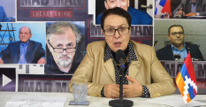 Лариса Алавердян: 20 февраля будут перечислены свыше 100 причин для отставки Никола Пашиняна