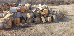 «Երբ գողը տանից է լինում», Տավուշի «շնչահեղձ» լինող  անտառները