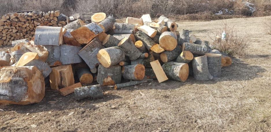 «Երբ գողը տանից է լինում», Տավուշի «շնչահեղձ» լինող  անտառները