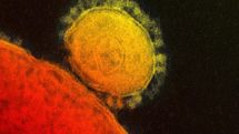 US confirms its first case of MERS virus