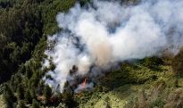 El Niño expected to drive record heat from Amazon to Alaska in 2024