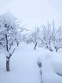 Powerful cyclone brings heavy snow to parts of Armenia