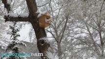В ближайшие дни обильные осадки на территории Армении продолжатся