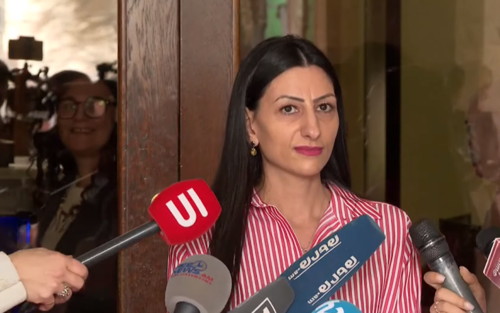Ombudswoman seeks clarification over brutal arrest of oppositionists in Yerevan