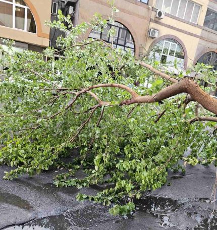 Сорванная часть крыши, упавшее на дорогу дерево: в Ереване устранили последствия ветра