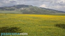 Temperatures to rise further in Armenia